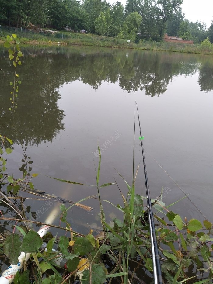 釣魚陰天好還是晴天好_釣魚陰天看不清漂用什么眼鏡_陰天釣魚