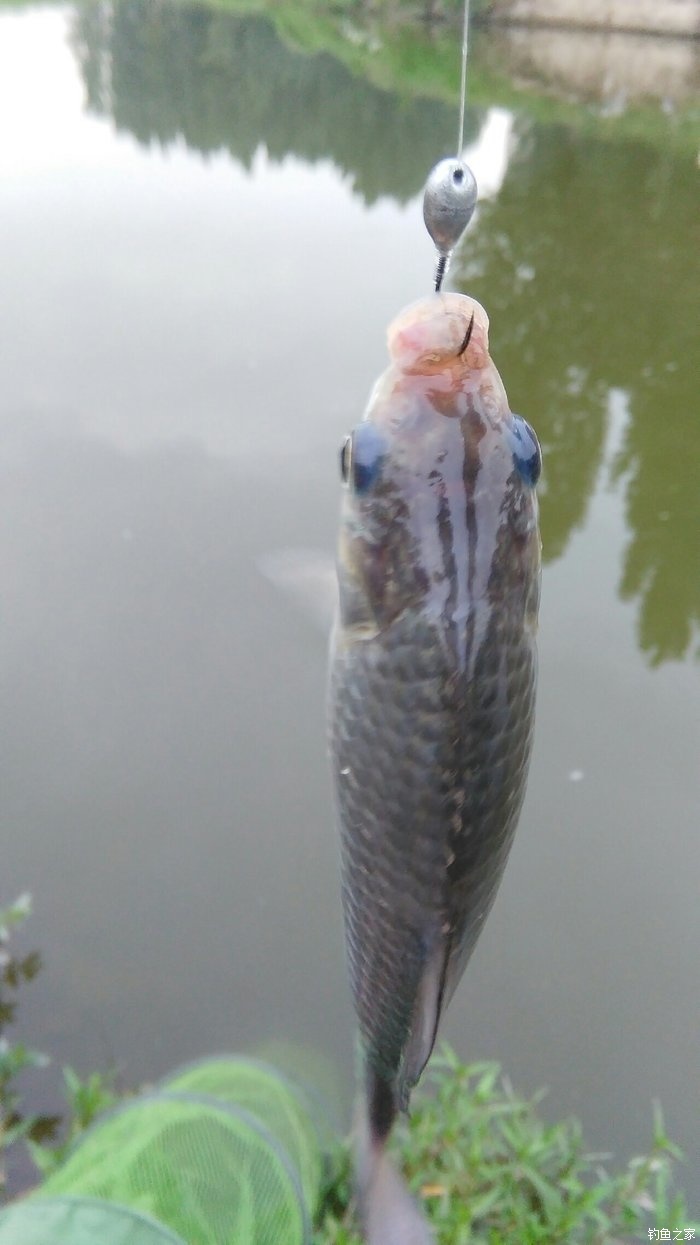 釣魚陰天釣深還是釣淺_陰天釣魚_釣魚陰天看不清漂用什么眼鏡