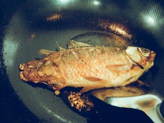 羅非魚_羅非魚是什么魚_羅非魚是海魚還是淡水魚