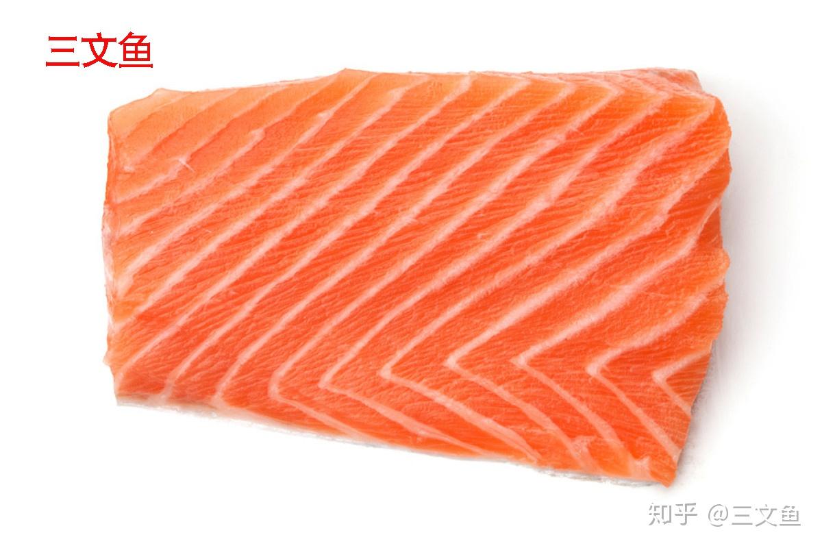 三文魚_三文魚怎么做好吃_三文魚壽司是哪一年出現的