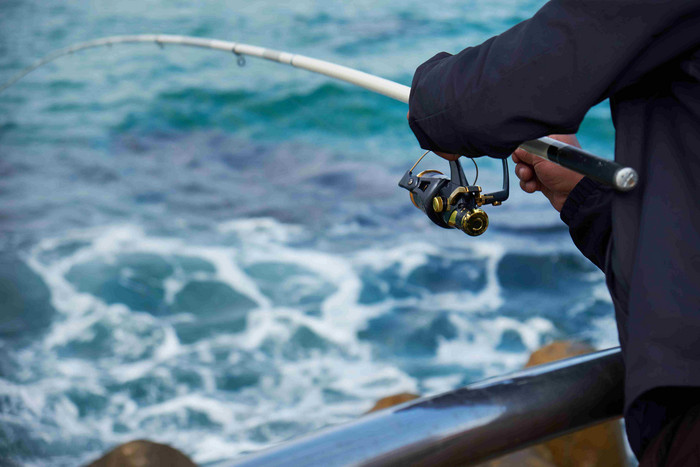 釣魚發燒友游戲_釣魚發燒友游戲最好的魚竿_釣魚發燒友游戲攻略