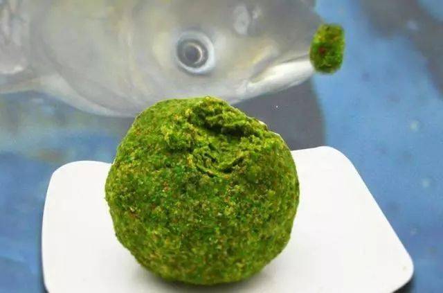 怎樣釣草魚釣草魚技巧_釣草魚技巧_釣草魚技巧和方法