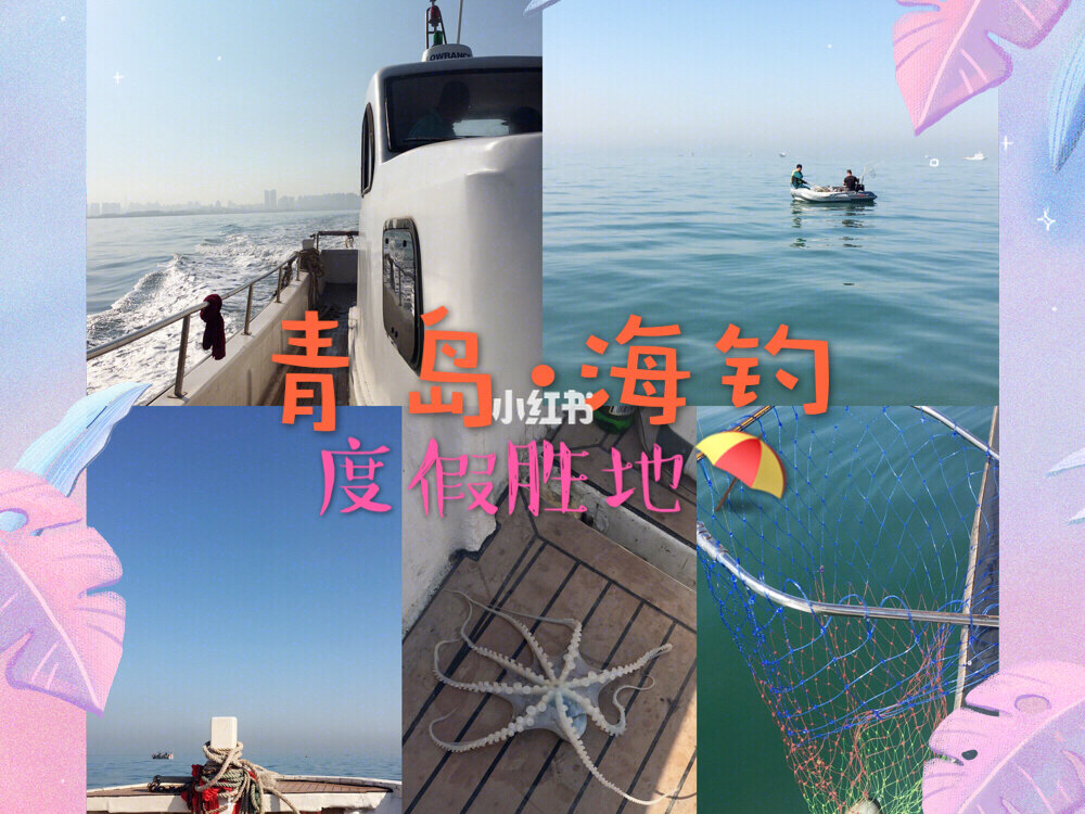 青島釣魚網_青島釣魚_青島釣魚