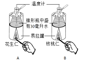 血鸚鵡魚適合多少°C水溫_血鸚鵡魚_血鸚鵡魚怎么分公母圖解