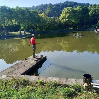 初夏釣魚技巧大全_初夏釣魚_初夏釣魚位置選擇