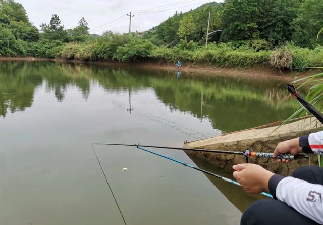 初夏釣魚位置選擇_初夏釣魚技巧大全_初夏釣魚