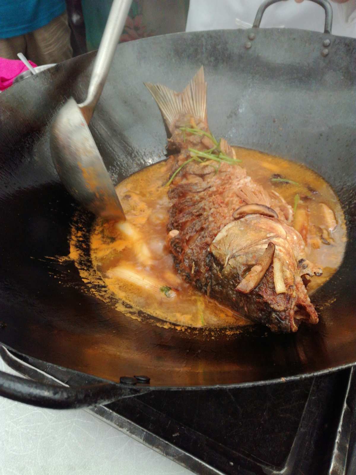 豫選黃河鯉魚_豫席鯉魚門黃河大鯉魚_正宗黃河鯉魚