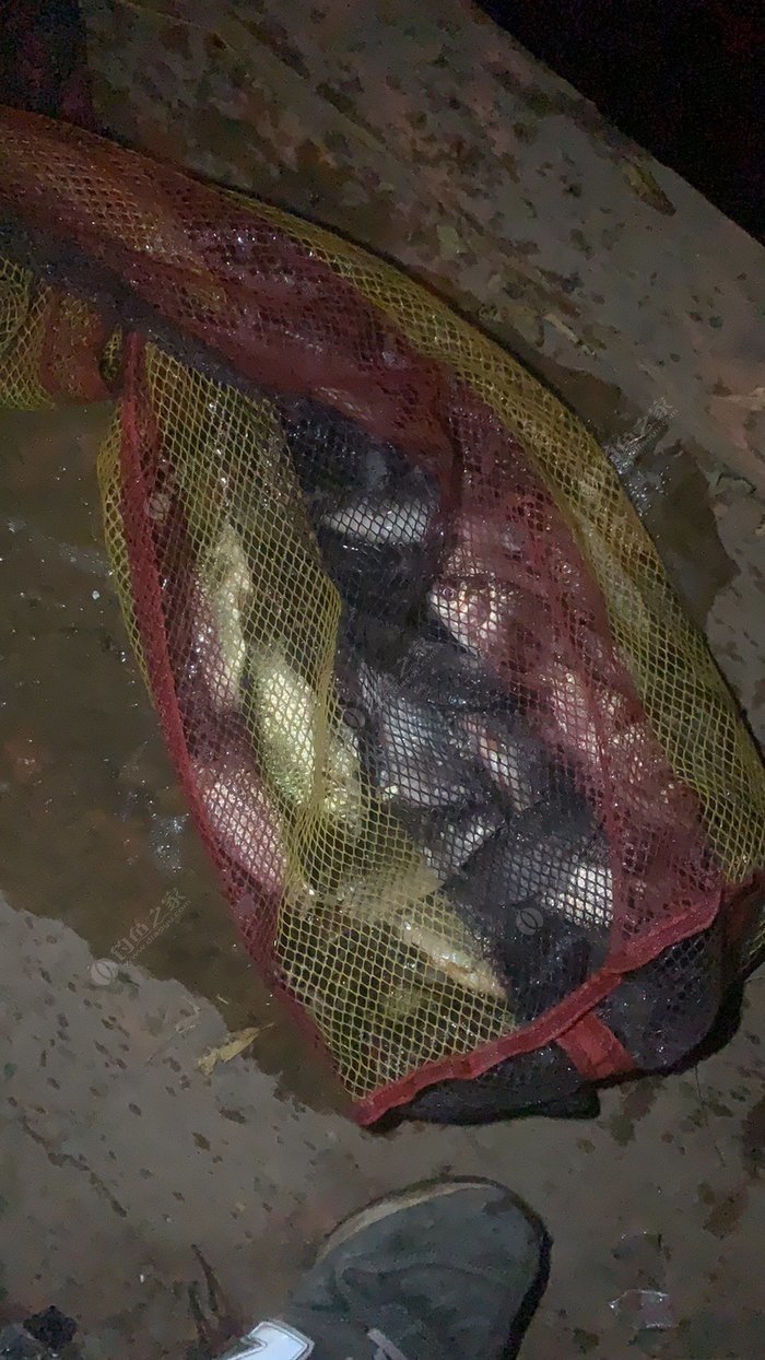 夏天釣魚技巧_釣魚夏天技巧圖解_釣魚夏天技巧視頻教程