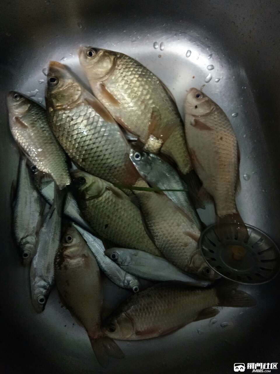 釣魚夏天技巧視頻教程_夏天釣魚技巧_釣魚夏天技巧圖解