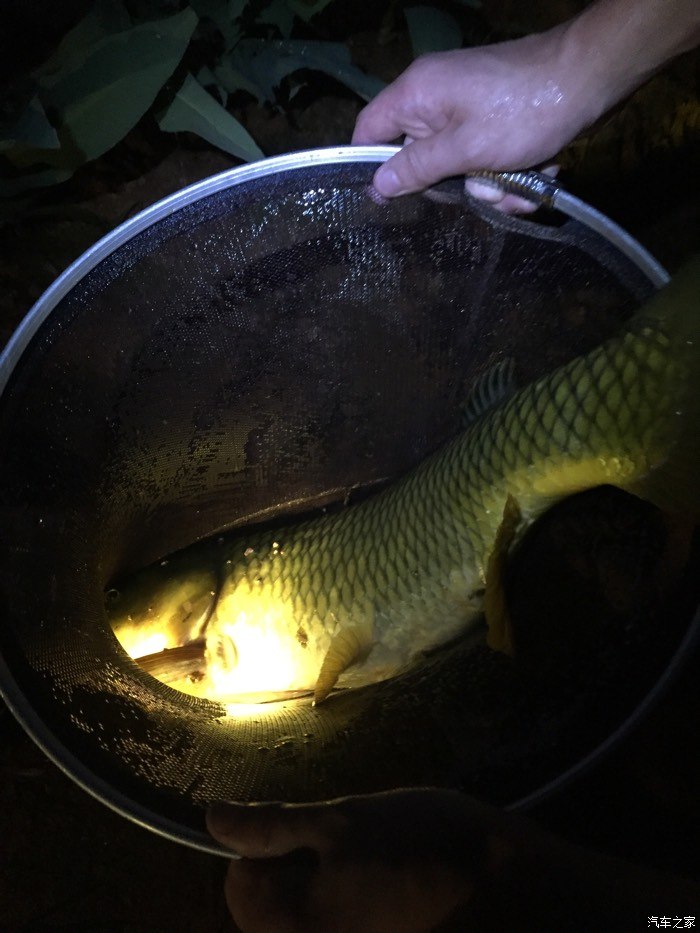 夏天釣魚技巧_釣魚夏天技巧圖解_釣魚夏天技巧視頻教程