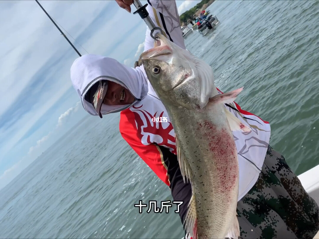 鱸魚海釣用什么假餌最好_海釣鱸魚_鱸魚海釣圖片
