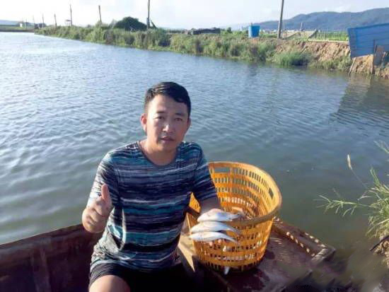 美國紅魚多少錢一斤_美國紅魚是淡水魚還是海水魚_美國紅魚