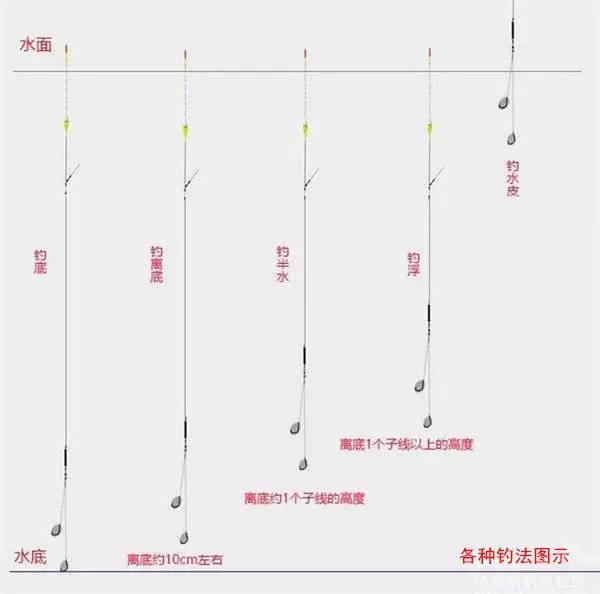 臺釣調浮漂_臺調調漂_臺釣調漂