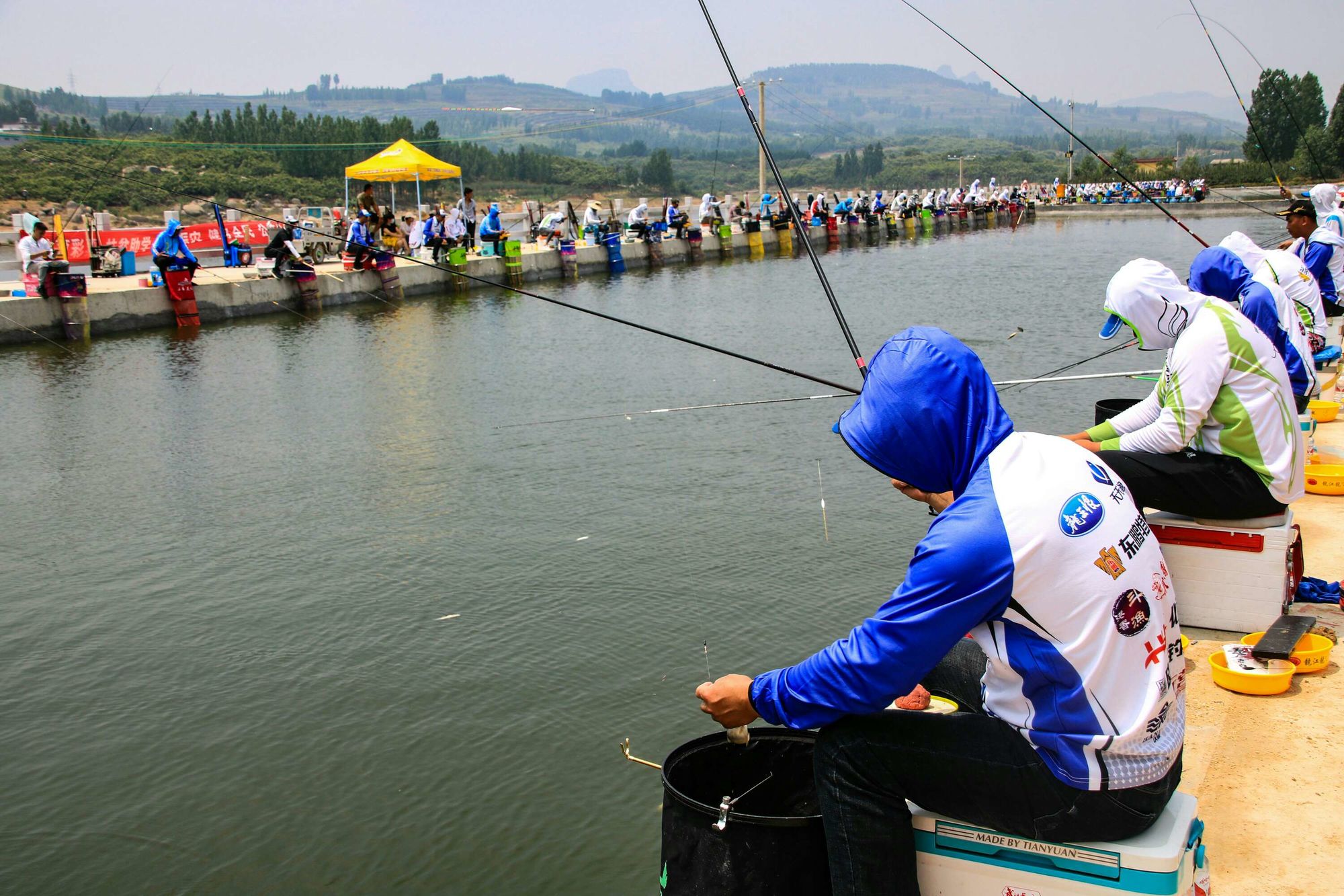 釣魚大賽黑鰭鯊_釣魚大賽在哪_釣魚大賽