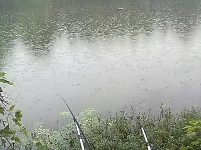 釣魚早春技巧和方法_早春釣魚_早春釣魚技巧