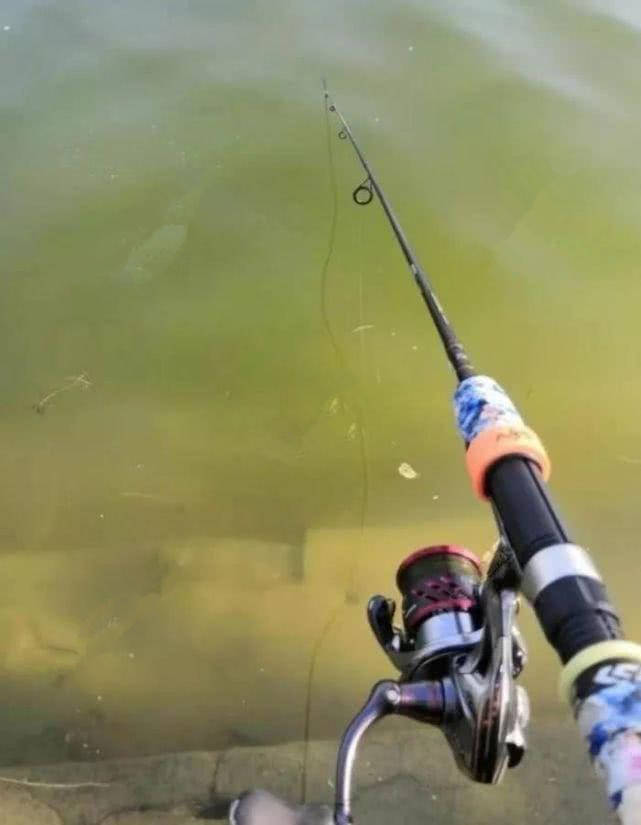 釣魚看漂_釣魚漂看不清楚有什么辦法_釣魚漂看不見怎么辦