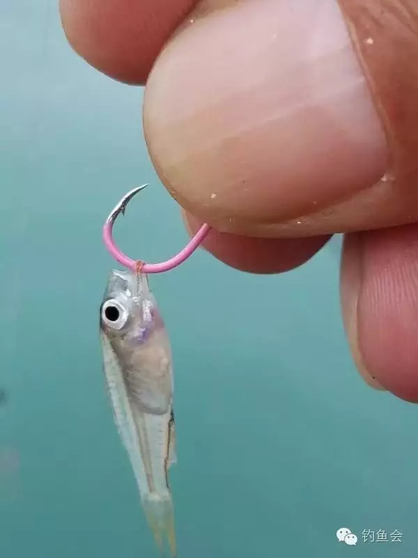 早春釣魚技巧_釣魚早春技巧和方法_釣魚早春技巧圖解
