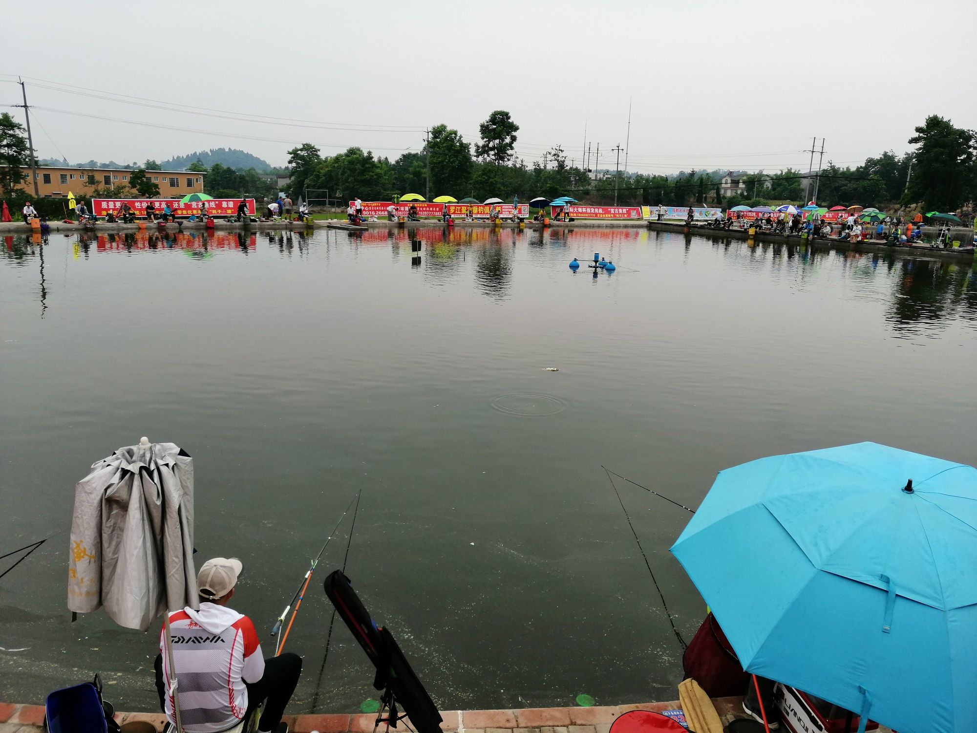 魚塘釣魚技巧_釣魚魚塘技巧圖解_釣魚魚塘技巧和方法
