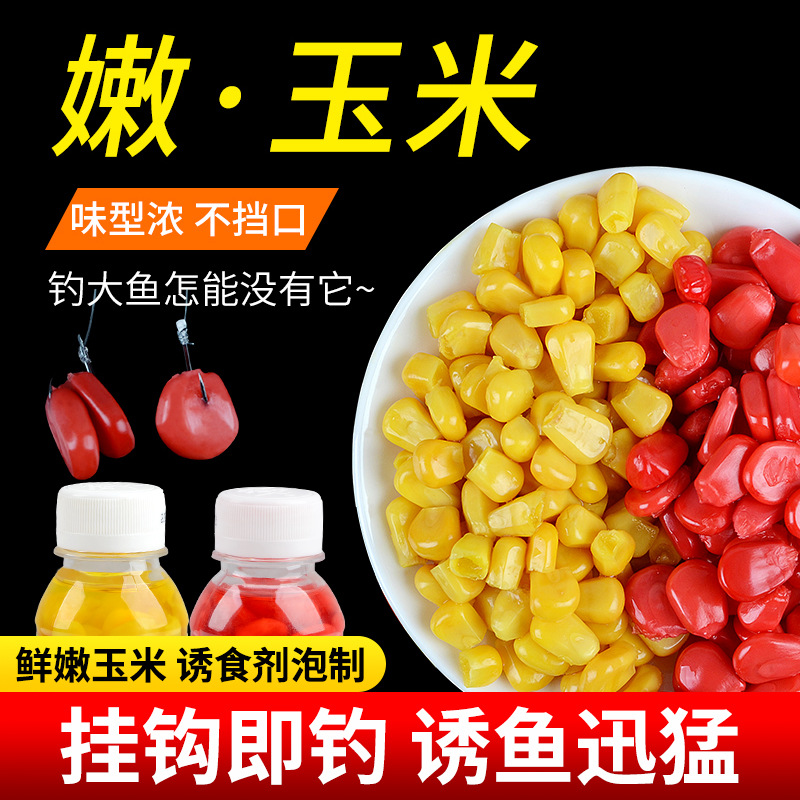 鯉魚配方餌料怎么配_鯉魚餌料配方_鯉魚配方餌料有哪些