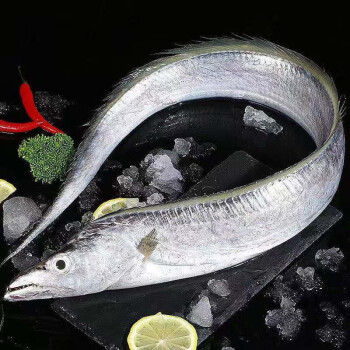 帶魚價格_東海帶魚價格_進口帶魚價格