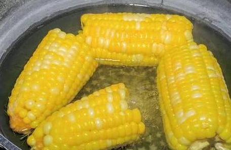 玉米煮熟會破壞營養嗎_玉米煮多久會熟_玉米煮熟了會浮起來嗎