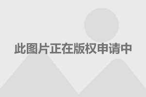 刀魚價格多少錢一斤_刀魚的價錢_刀魚價格2021
