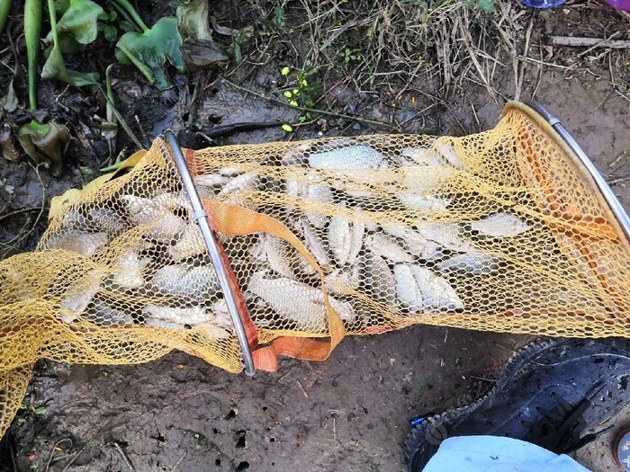 釣魚技巧大全視頻教程_釣魚技巧全攻略_釣魚技巧