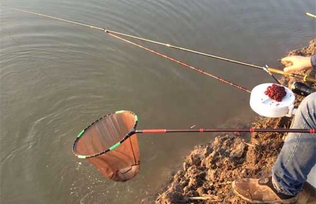 釣魚技巧_釣魚技巧大全視頻教程_釣魚技巧全攻略