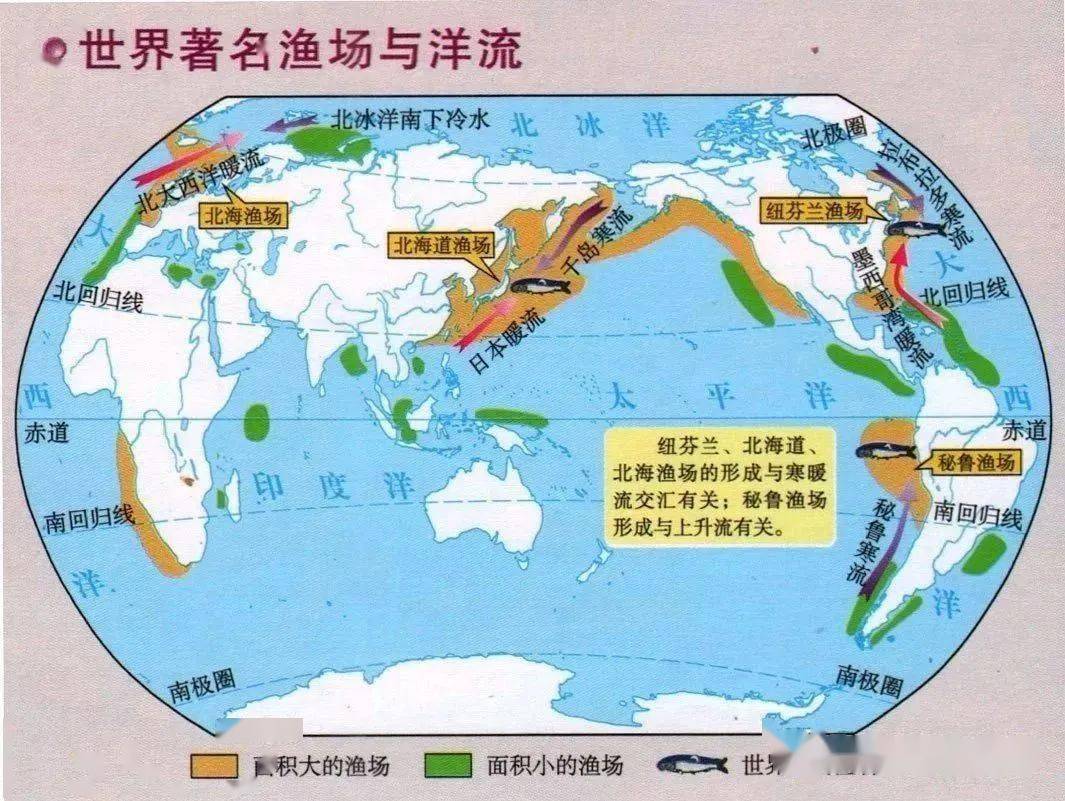 世界四大漁場形成原因總結