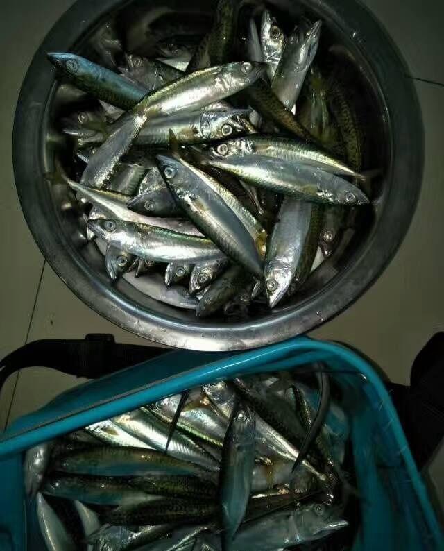 浮游磯釣線組_浮游磯釣_浮游磯釣是什么意思