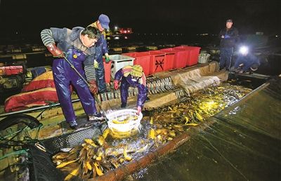 7749日是多少天_黃唇魚圖片_幼兒園放鞭炮