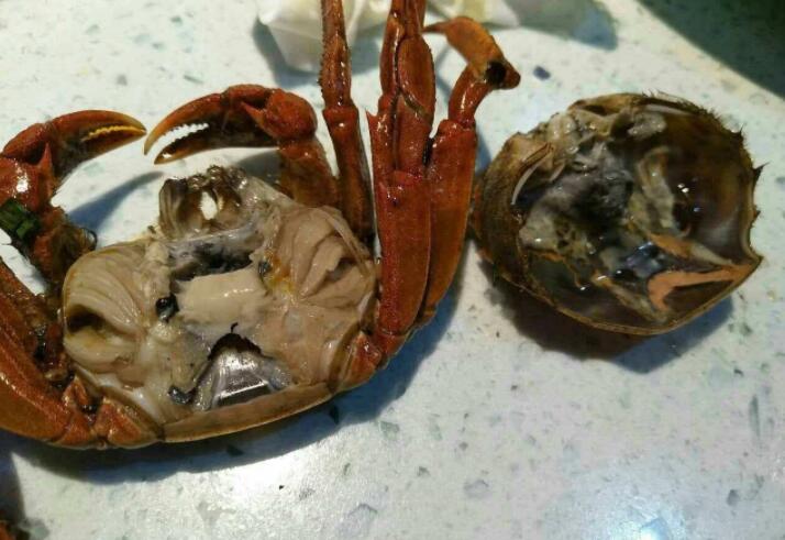 剛死的大閘蟹能吃嗎_大閘蟹死吃_能大閘蟹死吃嘛