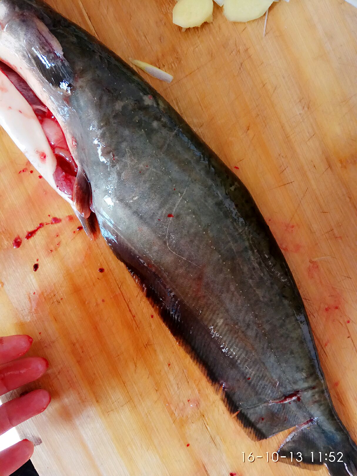 怎樣清洗鯰魚更干凈_如何殺鯰魚_鯰魚怎么殺和清洗