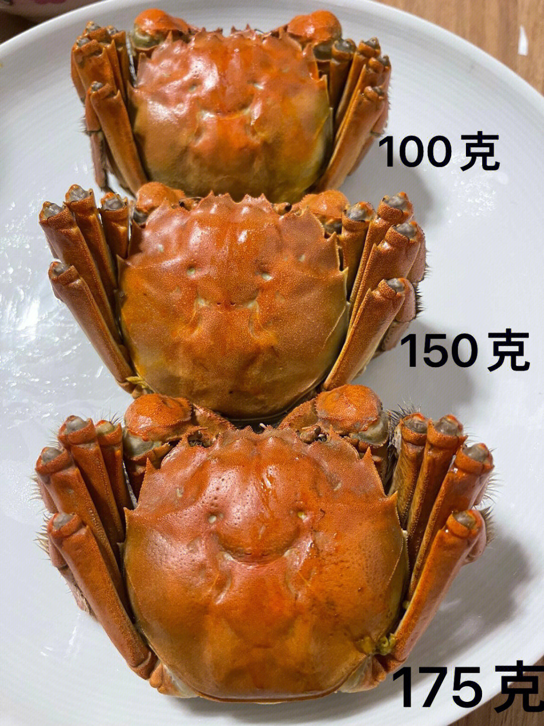 大閘蟹公的好還是母的好_大閘蟹母公區別_大閘蟹母公季節