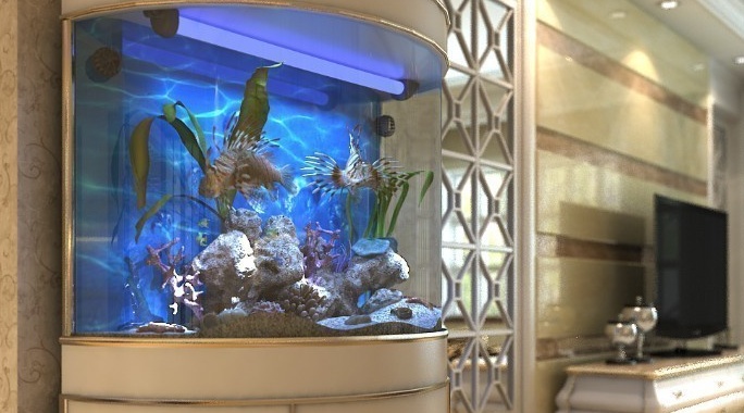 怎么養寵物魚Led燈？養不好魚的方法