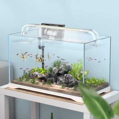養寵物魚賺錢嗎_養寵物魚_養寵物魚的好處和壞處