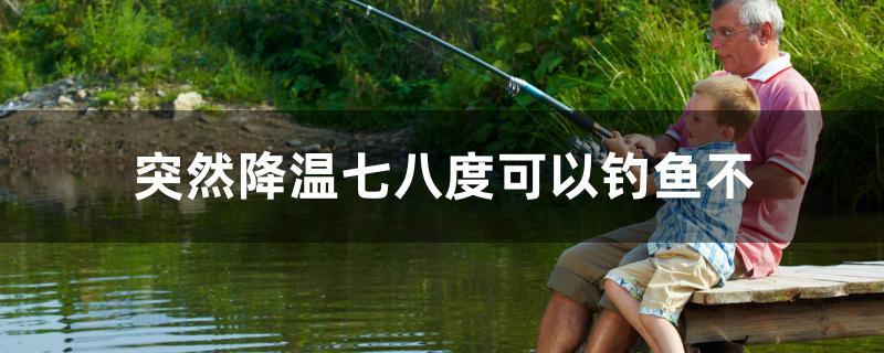 釣魚夏季果酸冬季藥酒嗎_夏季釣魚_釣魚夏季用什么小藥