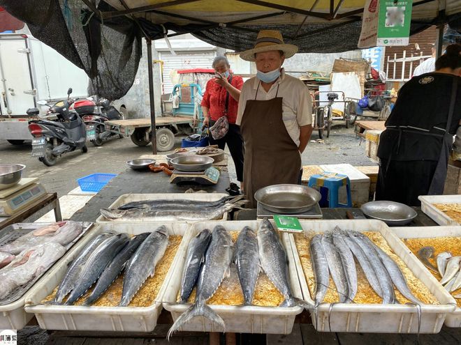 今年首波上市刀魚量價齊跌其中銷量只有去年一半