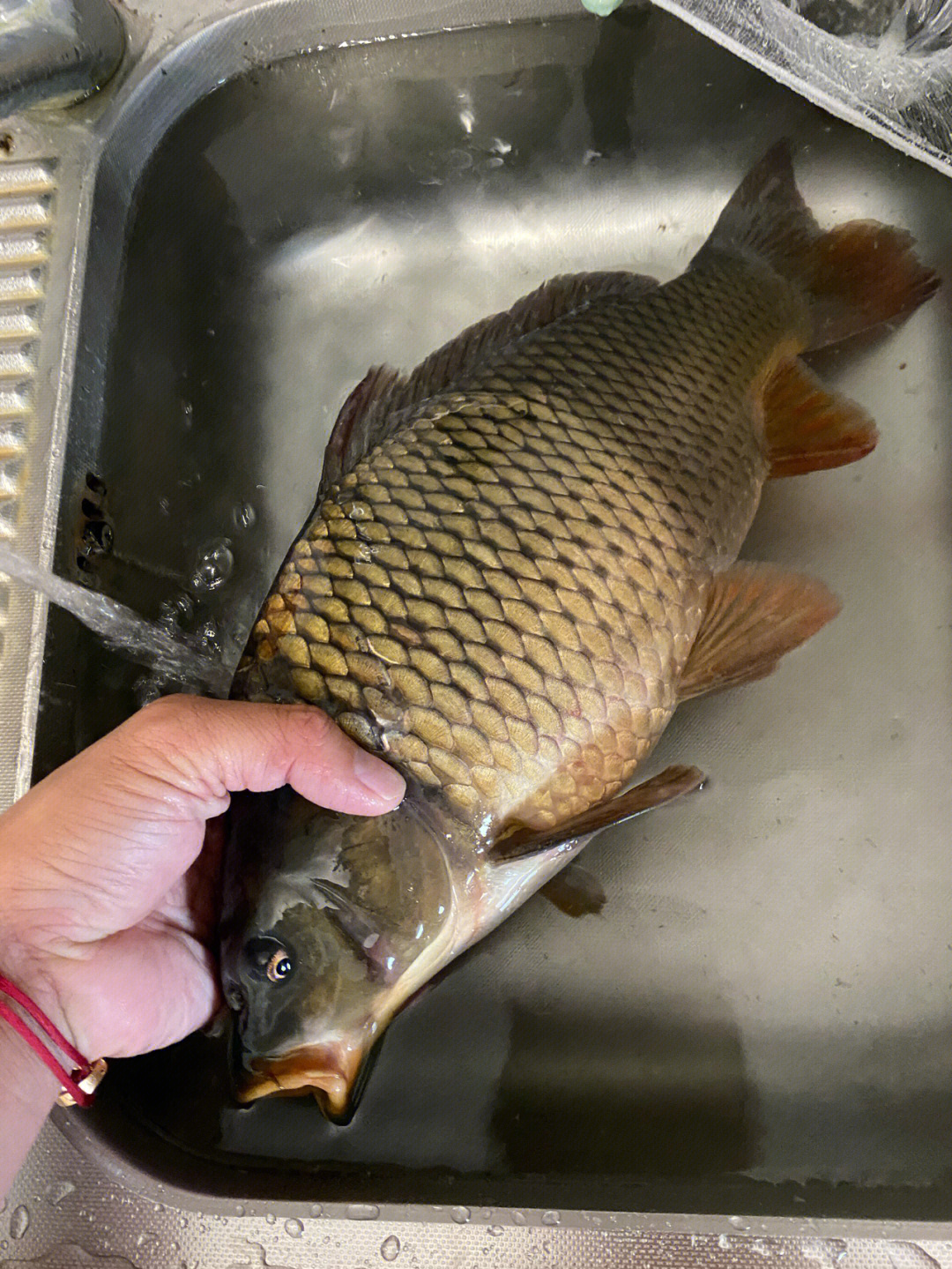 夏季雨后釣魚技巧_夏季雨后野釣技巧_夏季大雨后釣魚