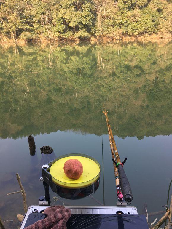 手竿釣草魚技巧_釣草魚技巧_冬天魚塘釣草魚技巧
