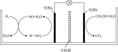電鰻為什么會放電？這是什么原理？