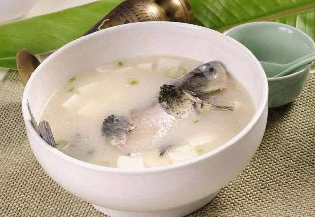 鯽魚湯菜放里面好可以放幾天嗎_鯽魚湯里面可以放什么菜最好_鯽魚湯燉菜好吃嗎