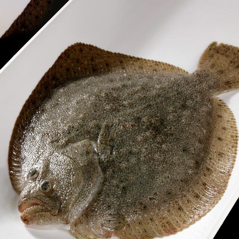 魚處理完凍還是直接凍_多寶魚怎么處理_魚處理好了怎樣保鮮