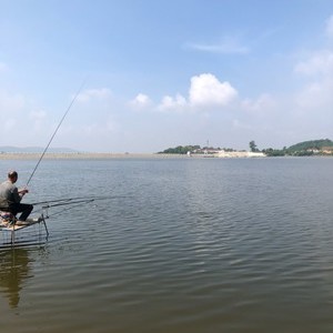 珠海釣魚網站_珠海釣魚網海釣論壇_珠海釣魚網
