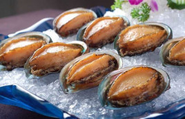 鮑魚屬于什么物種_鮑魚是魚類嗎_鮑魚屬于