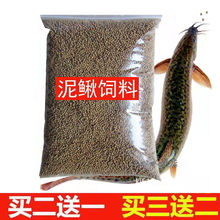 養殖黃鱔的技術與資料_養殖黃鱔十大忌諱_黃鱔養殖
