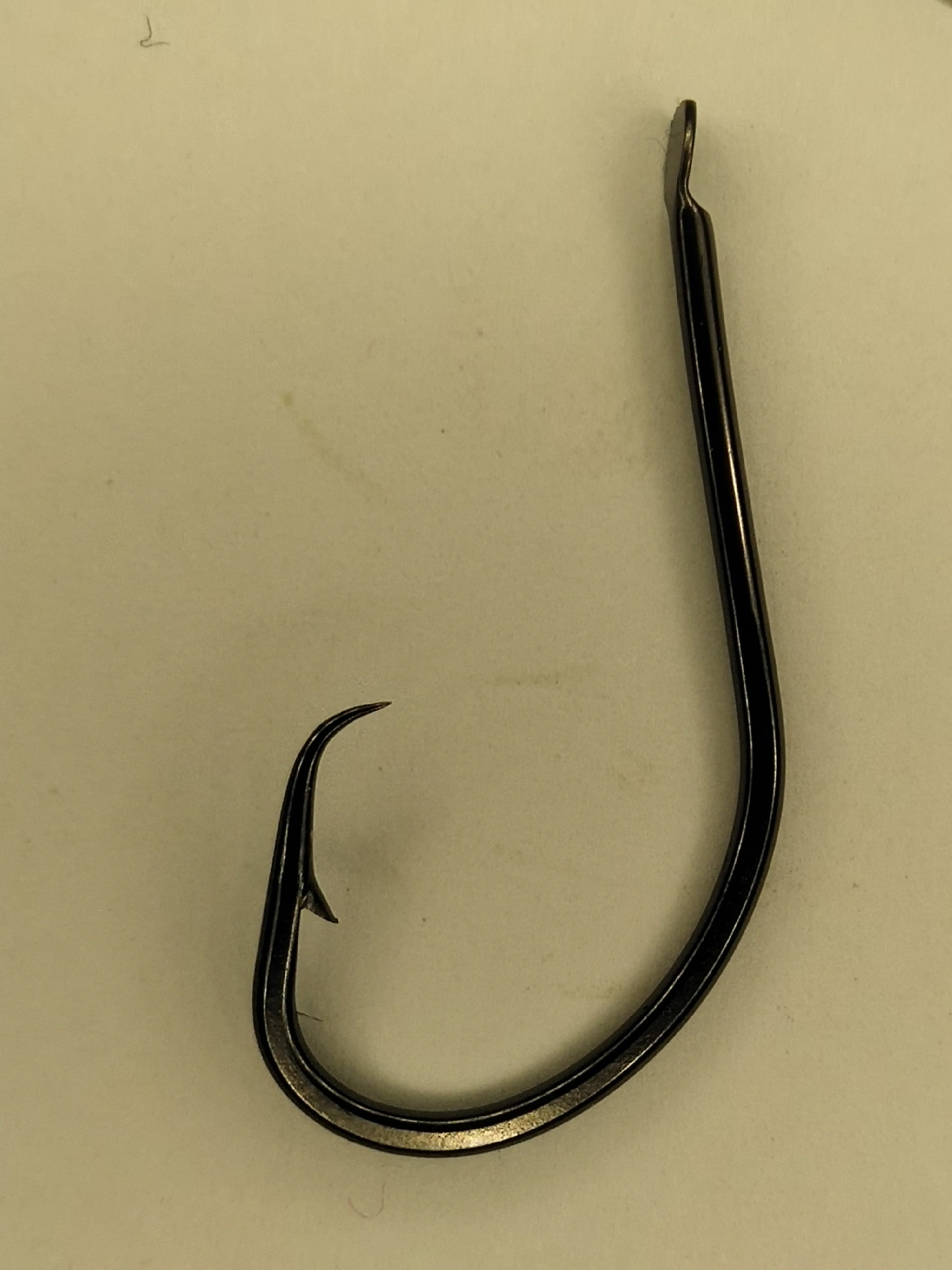 死魚正口_死魚能吃嗎_死魚正口