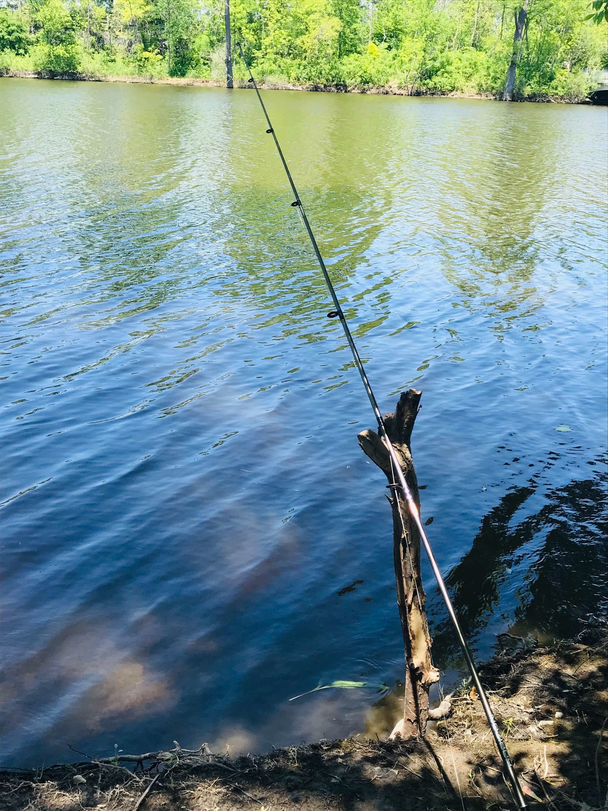 初夏釣魚位置選擇_初夏野釣_初夏釣魚