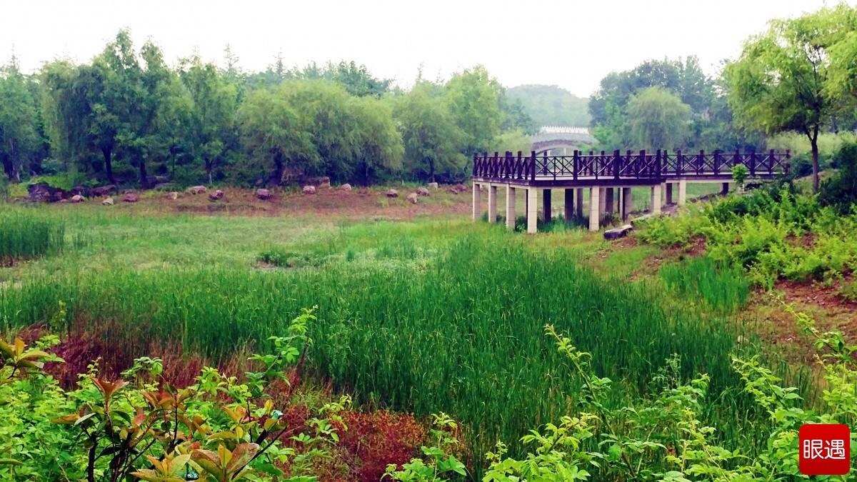 漢石橋濕地要門票嗎_漢石橋濕地_漢石橋濕地公園幾點開門