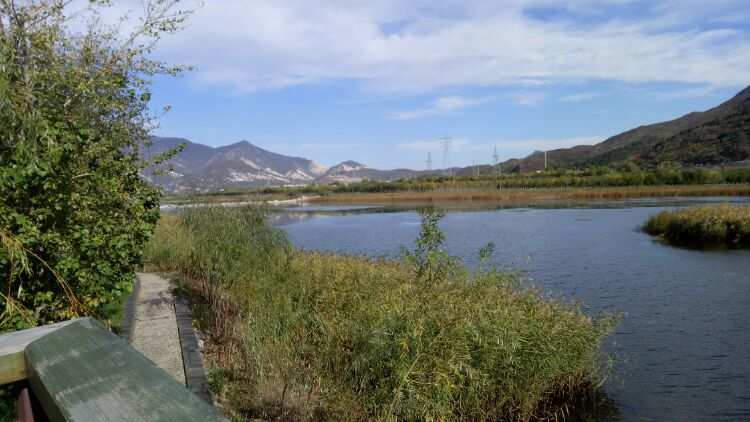 漢石橋濕地_漢石橋濕地公園幾點開門_漢石橋濕地要門票嗎